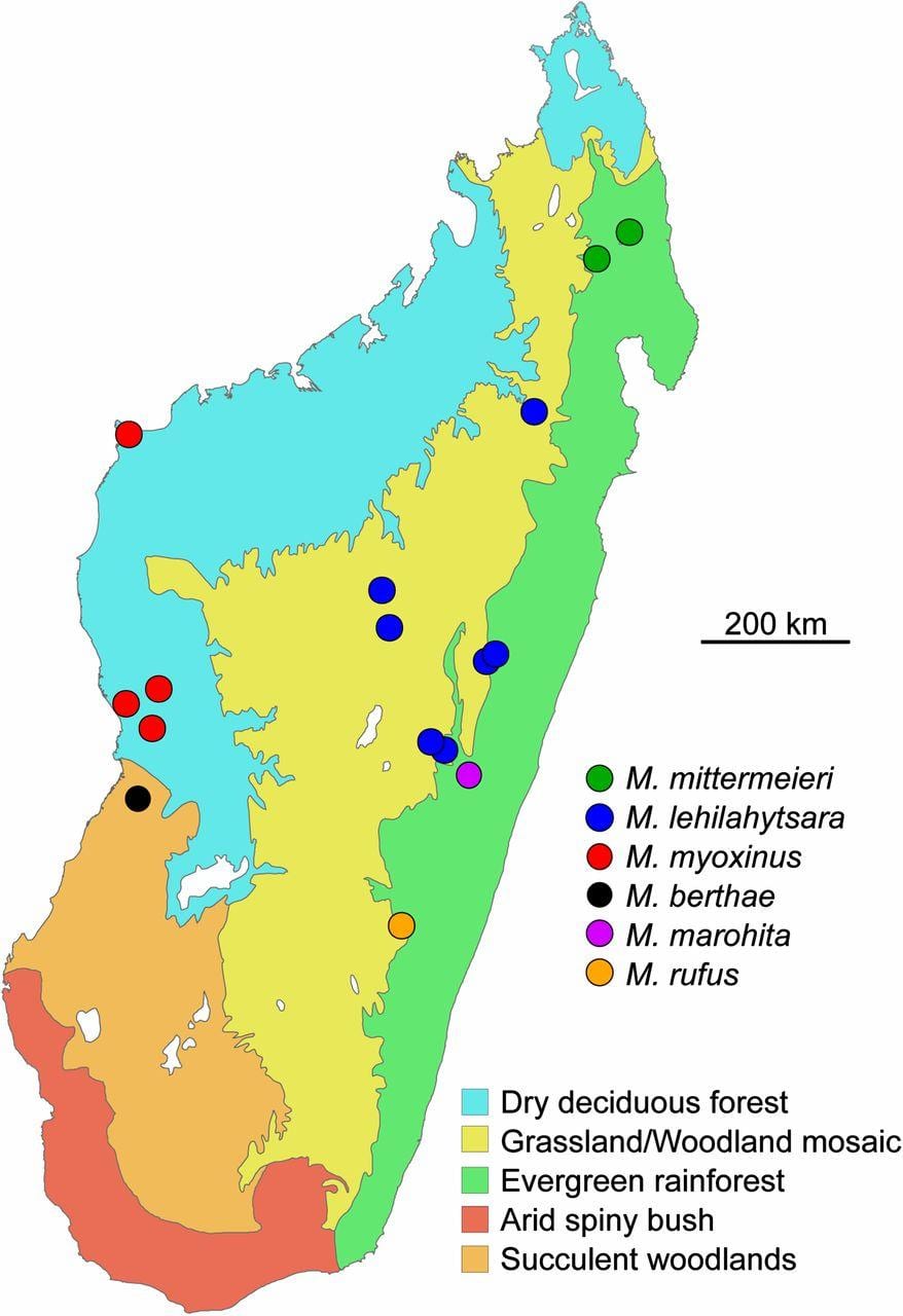harta tropicale din Madagascar