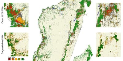 Harta defrișărilor din Madagascar